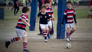 El rugby infantil de Old Resian sigue generando nuevas iniciativas