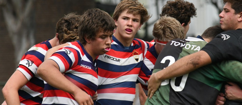 Foto: Gentileza Andrea Zanin