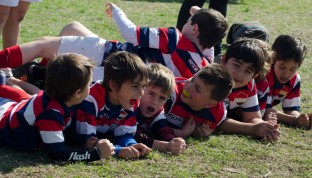El semillero tricolor espera con ansias su regreso